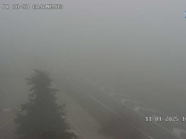 Niebla espesa en la A-2 a la altura de Gajanejos en la mañana del sábado, 11 de enero de 2025. (Foto: DGT)